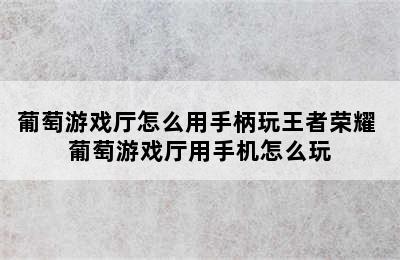 葡萄游戏厅怎么用手柄玩王者荣耀 葡萄游戏厅用手机怎么玩